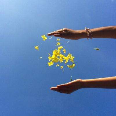 开元ky888vipapp下载