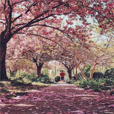 米乐·M6手机app下载