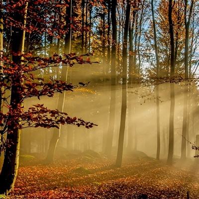 万博全站(Manbetx)