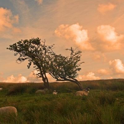 BOB·体育综合APP