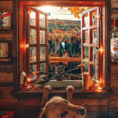 奇异果体育手机app下载截图